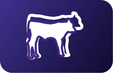 Cow growth icon